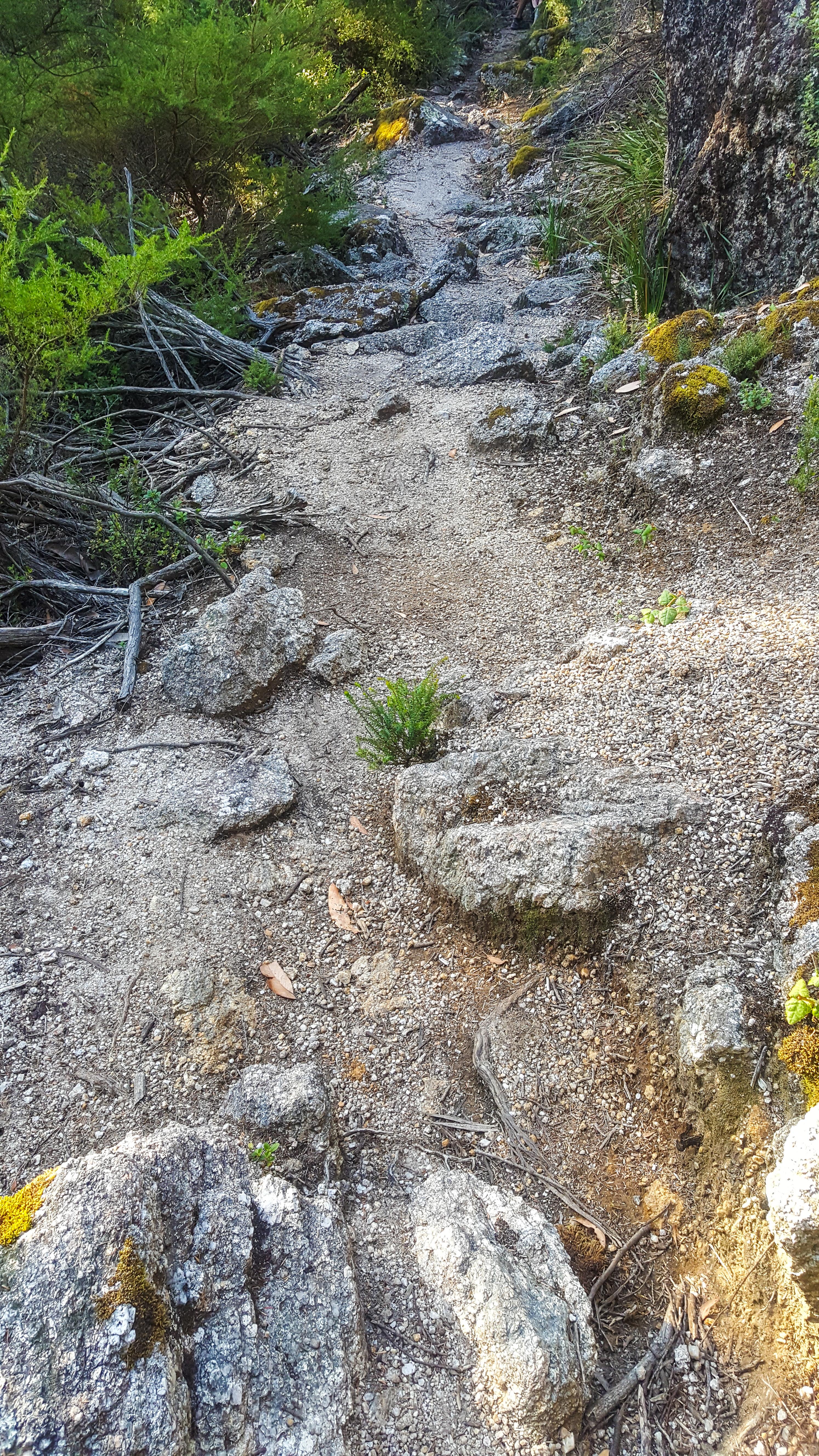 South Point walking track
